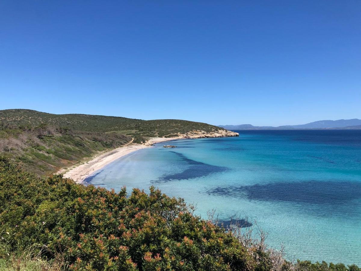 B&B Il Mirto Bianco ซานโจวานนีซูแอร์จู ภายนอก รูปภาพ